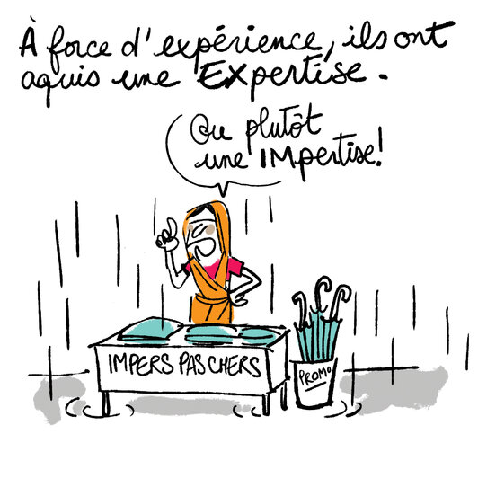 Les experts